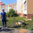 Благоустройство на улице Потапова восстановят до конца текущей недели - ТРК ТВС