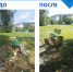 Обратная связь с властью стала проще - ТРК ТВС