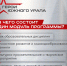 4 модуля и 3 этапа стажировок - Администрация г. Трёхгорный
