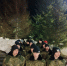 Десятиклассники Трехгорного знакомятся с военной подготовкой на сборах в Чебаркуле - ТРК ТВС